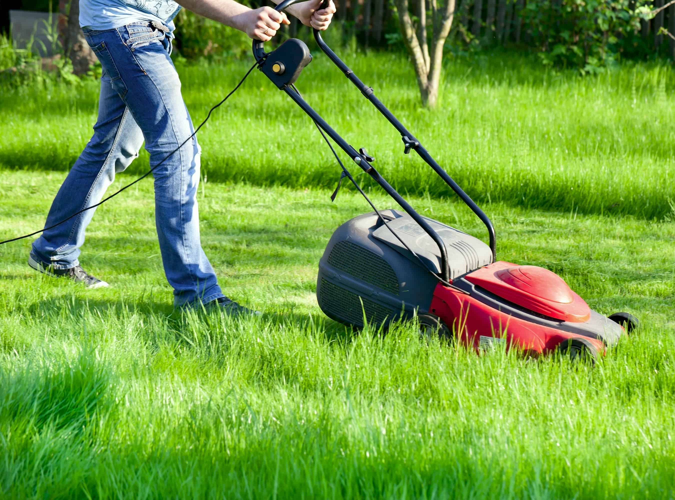 the-5-best-electric-lawn-mowers-for-2023-leafscore