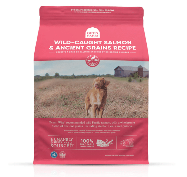 The 12 Best EcoFriendly & Organic Dog Foods LeafScore