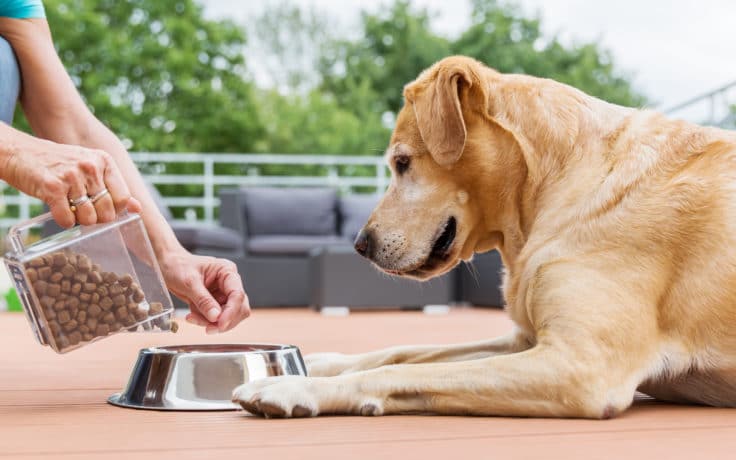 Organic pet sales products