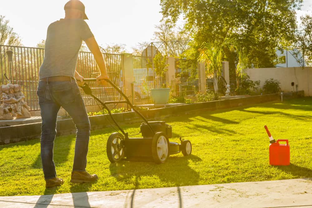 The 3 Best GasPowered Lawn Mowers for 2023 LeafScore