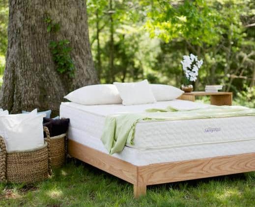 natural Savvy mattress rest latex