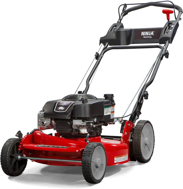 The Best GasPowered Lawn Mowers for 2020 Leaf Score