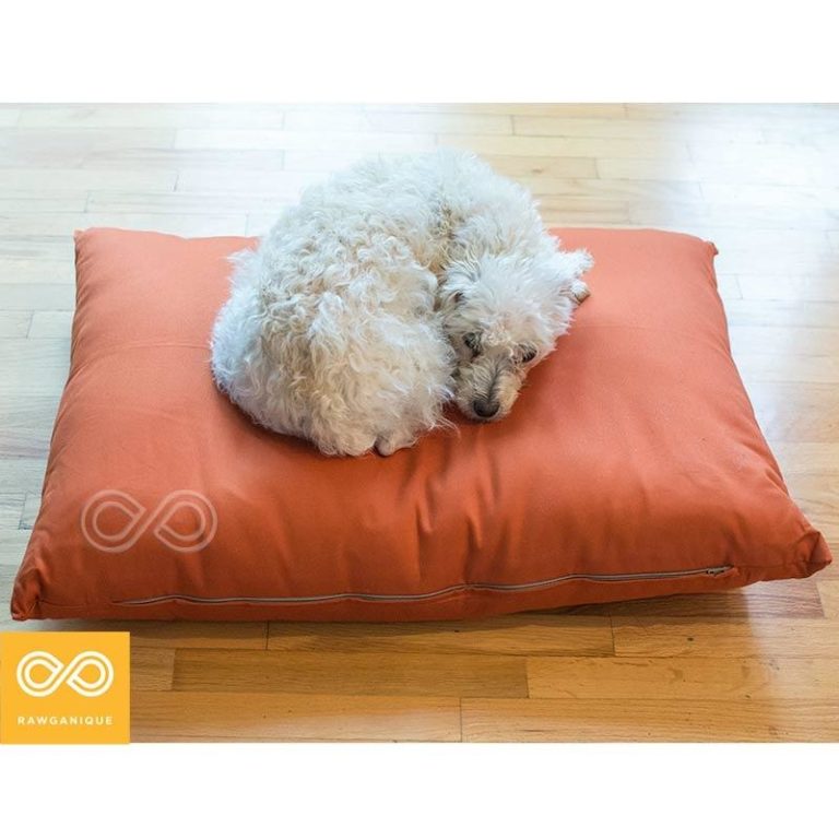 The 10 Best EcoFriendly & NonToxic Dog Beds LeafScore