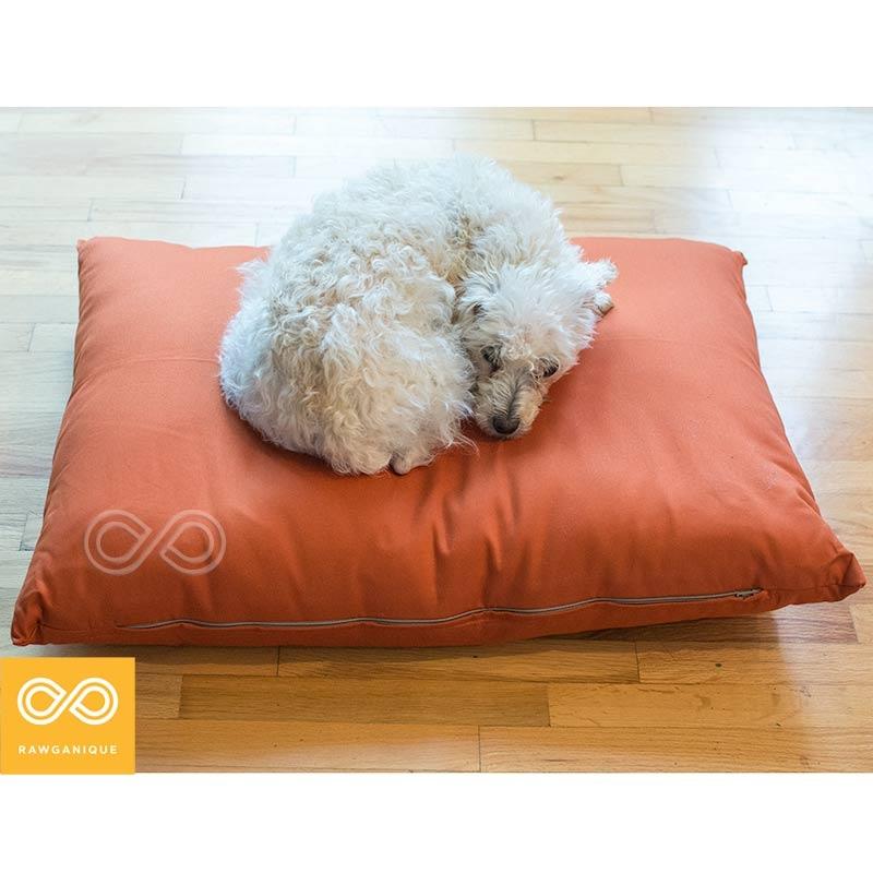The 10 Best EcoFriendly & NonToxic Dog Beds LeafScore