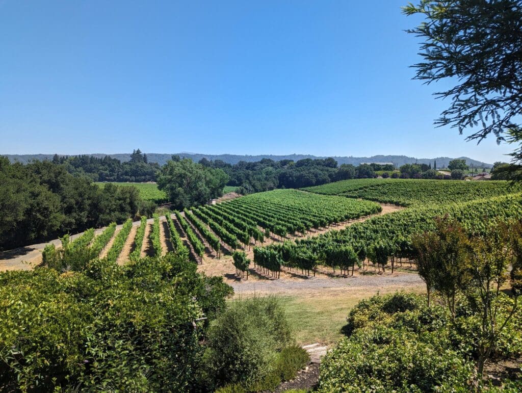 A sustainable winery in sonoma.