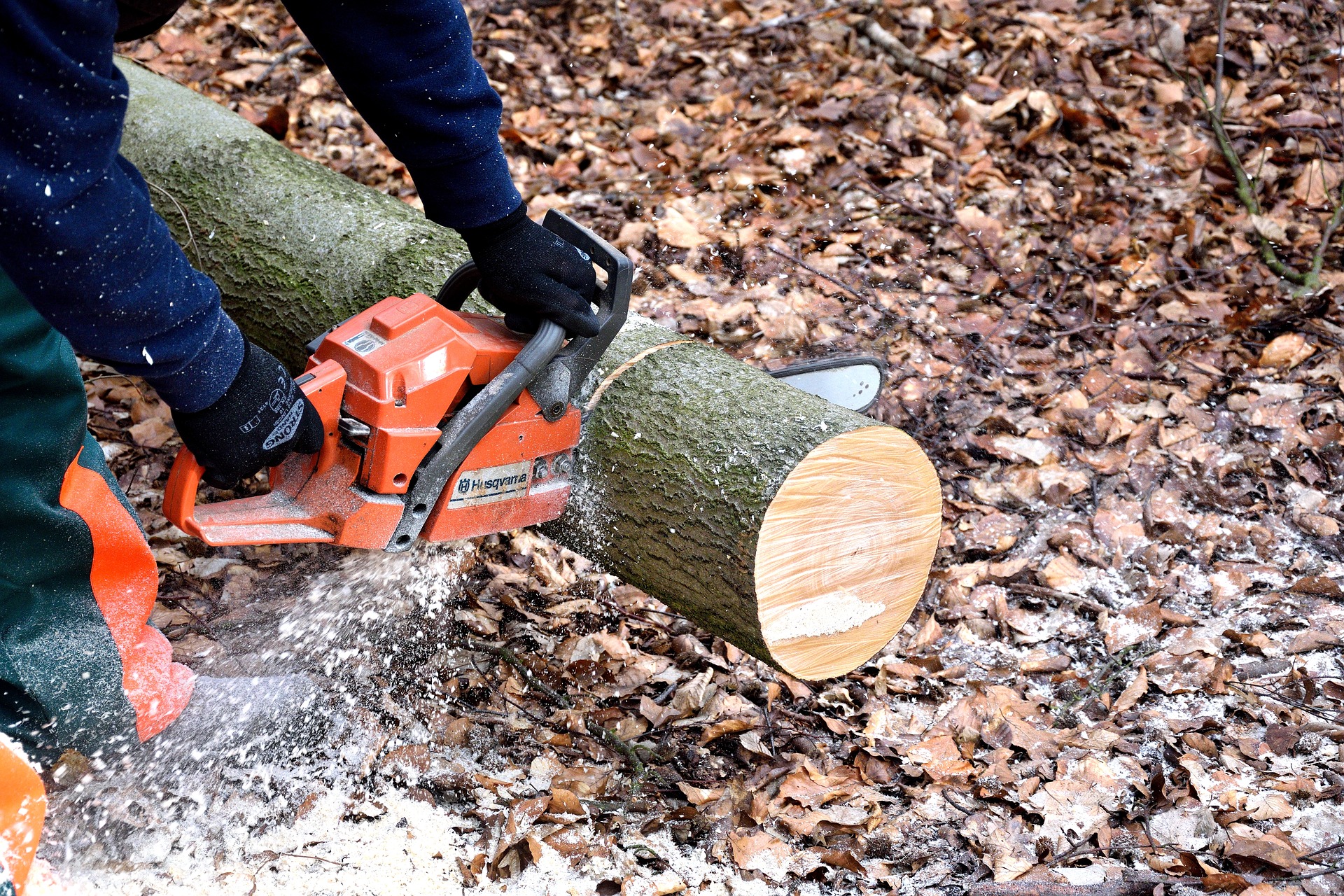 The Best Electric Chainsaws in 2023