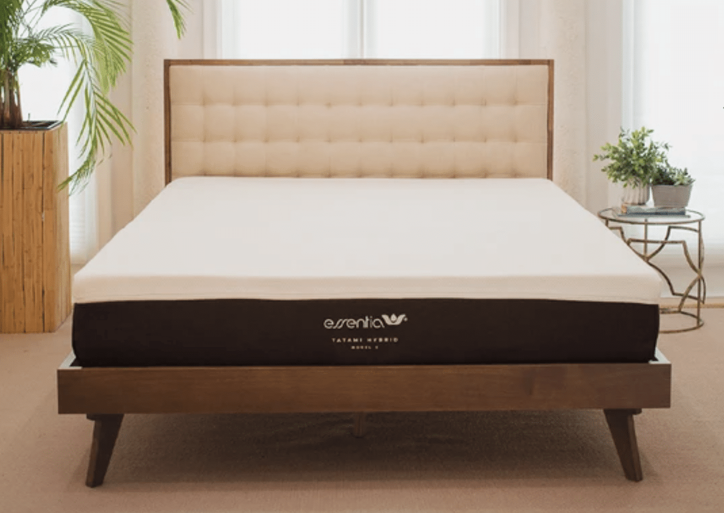 best vegan mattress 2024