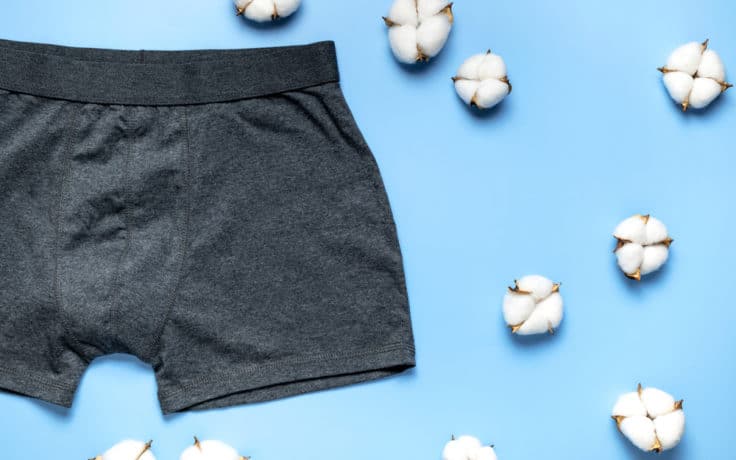 The 4 Best Non-Toxic & Sustainable Women's Underwear Options - LeafScore