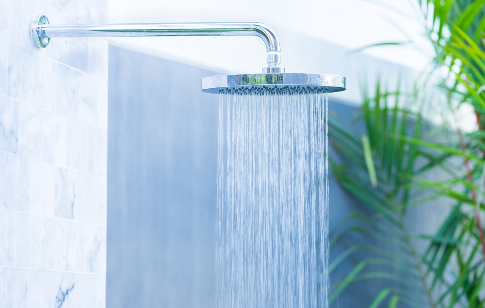 The 6 Best Water-Saving Shower Heads - LeafScore