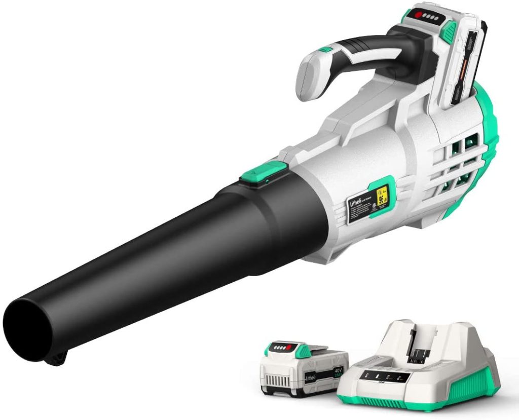 The 8 Best (and Quietest) Electric Leaf Blowers LeafScore