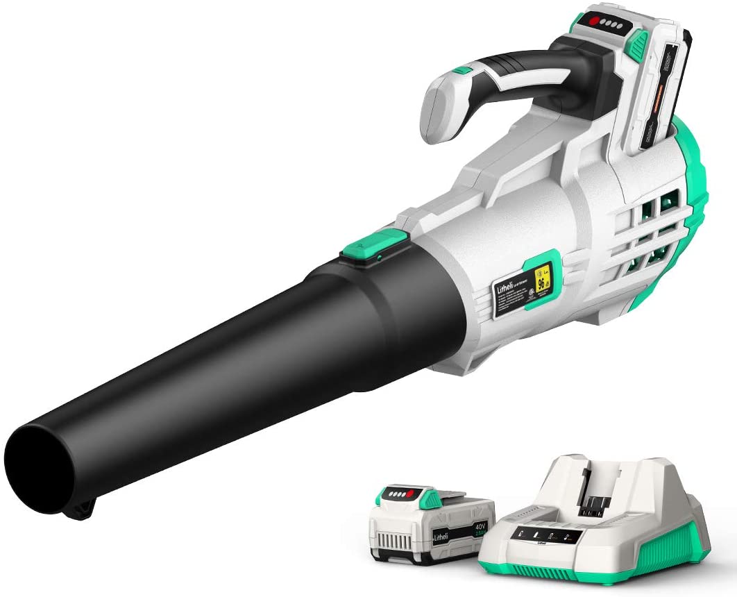 The 8 Best (and Quietest) Electric Leaf Blowers LeafScore