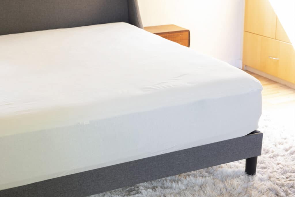Organic mattress protector