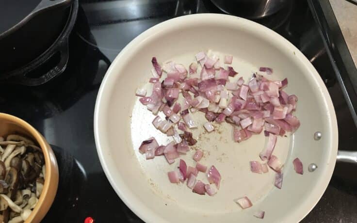 onions in made in ceramiclad pan